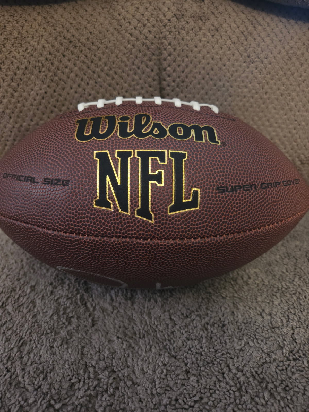 Derrick Mason Autographed Full-Size Football (Schwartz)