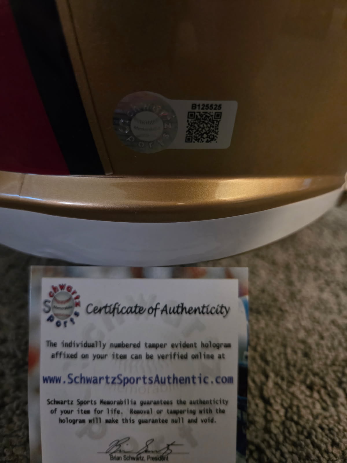 Jeff Garcia Signed Full Size Helmet (Schwartz)