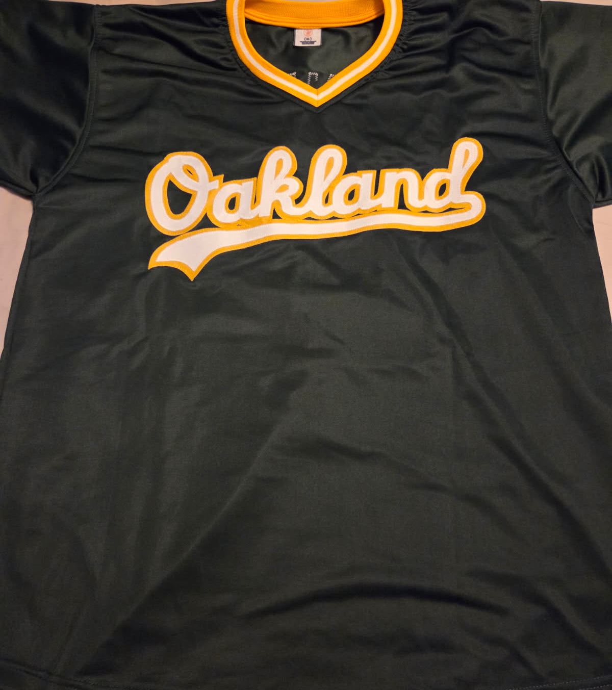 Terry Steinbach Signed Jersey